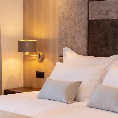 住宿加早餐酒店 Fortis 特罗吉尔